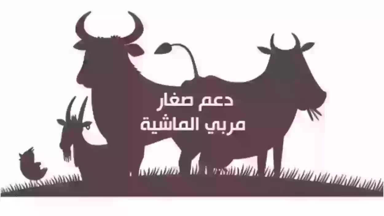 ما هي خطوات تحديث بيانات دعم صغار الماشية 1445