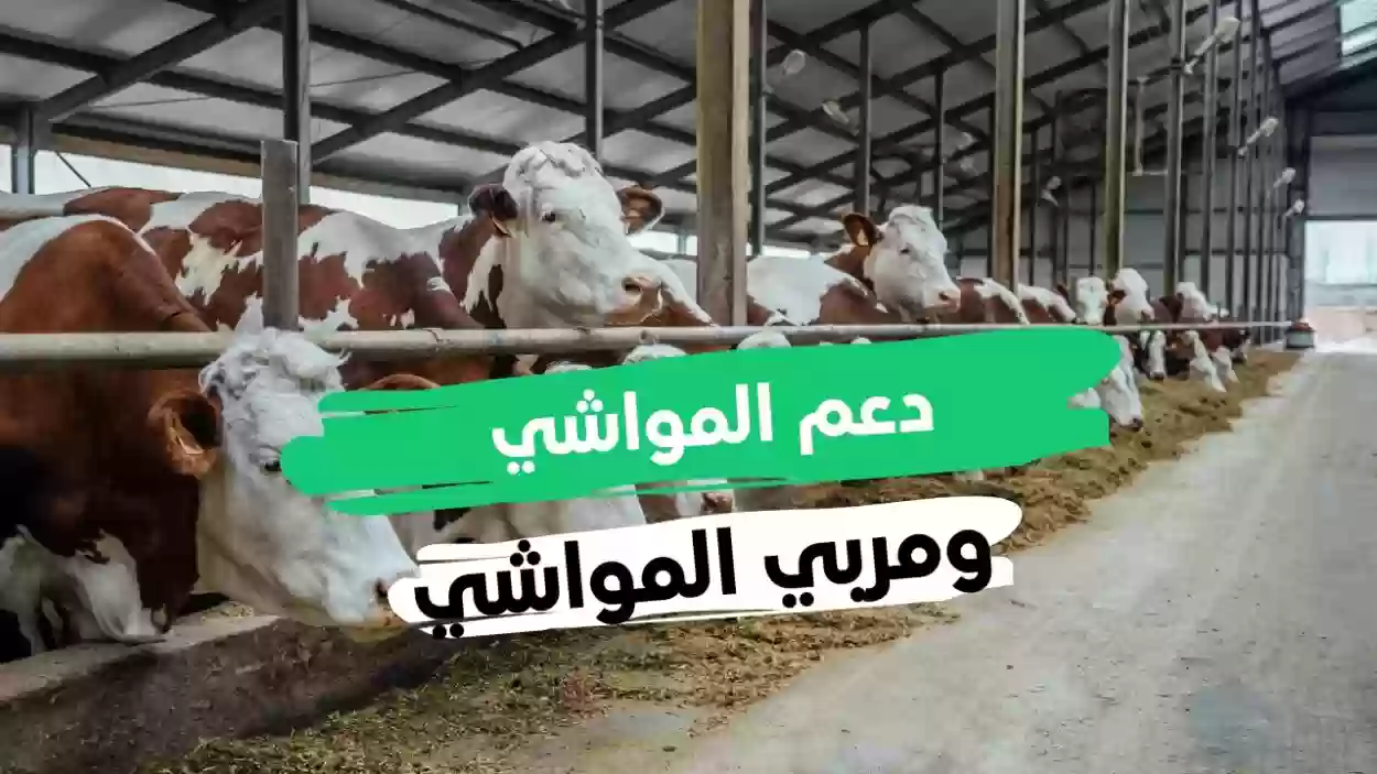 رقم دعم المواشي