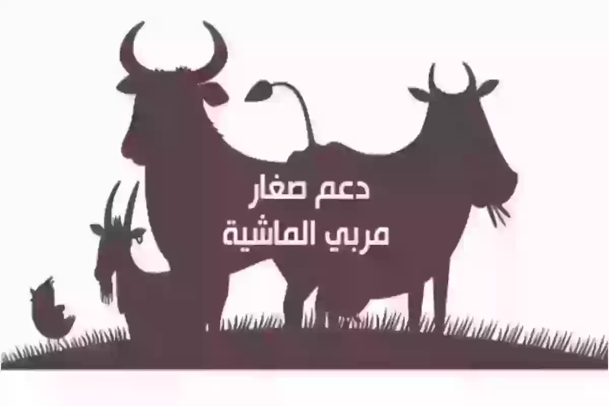 التسجيل في دعم المواشي بخطوات بسيطة.. 