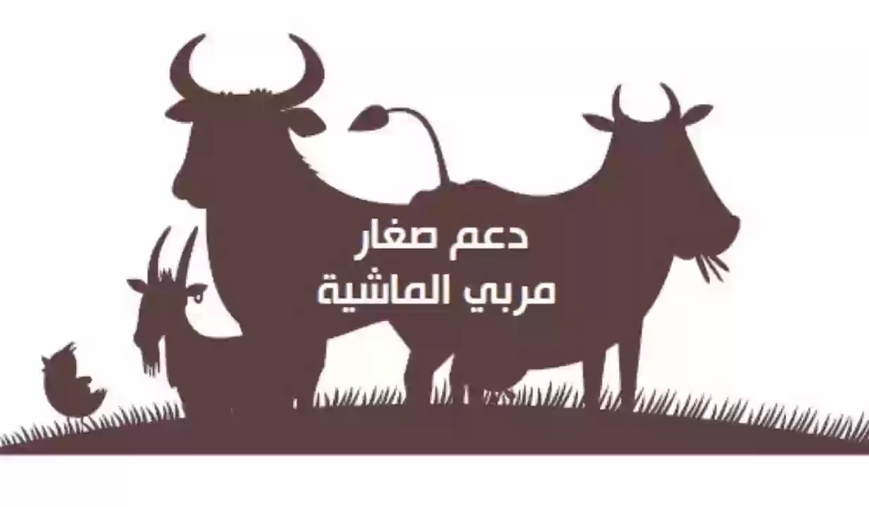 شروط التسجيل في دعم مربي المواشي 1445 والخطوات