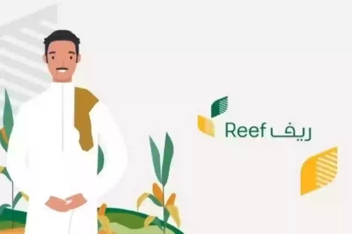 شروط برنامج ريف والفئات المستفيدة من الدعم