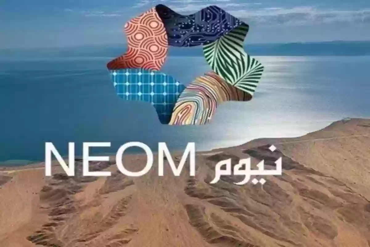  شركة 